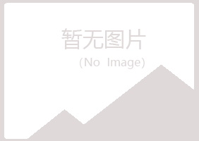 鹤山向彤会计有限公司